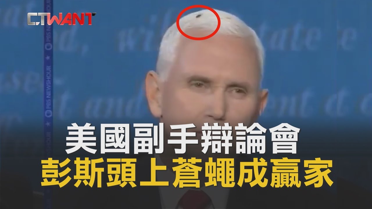 圖說-CTWANT 即時新聞》美國副手辯論會　彭斯頭上蒼蠅成贏家