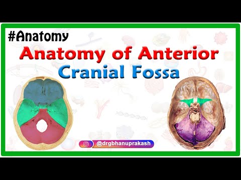 Anatomy of Anterior cranial Fossa : MBBS 1st Year