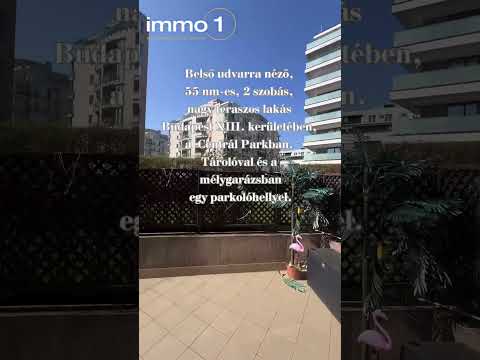 YouTube videó