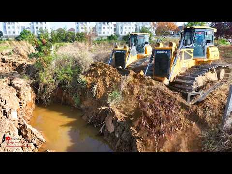 Ten Acres First​ New Clean​ing Extreme! Wonderful land tree clear with Skill operator dozer Pushing