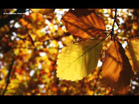 Ilahi shum e kërkuar !!! Elhamdulilah që kemi arrit me Gjetë !!! New 2013