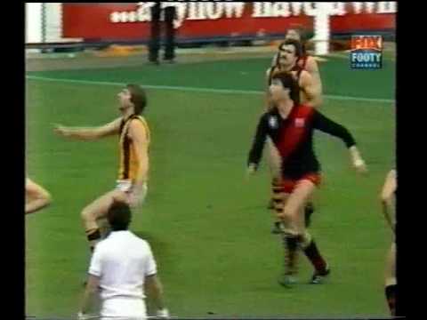VFL R18 1982 - Essendon v Hawthorn