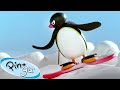 Snowboarder Pingu Pingu Official Channel Cartoons For Kids