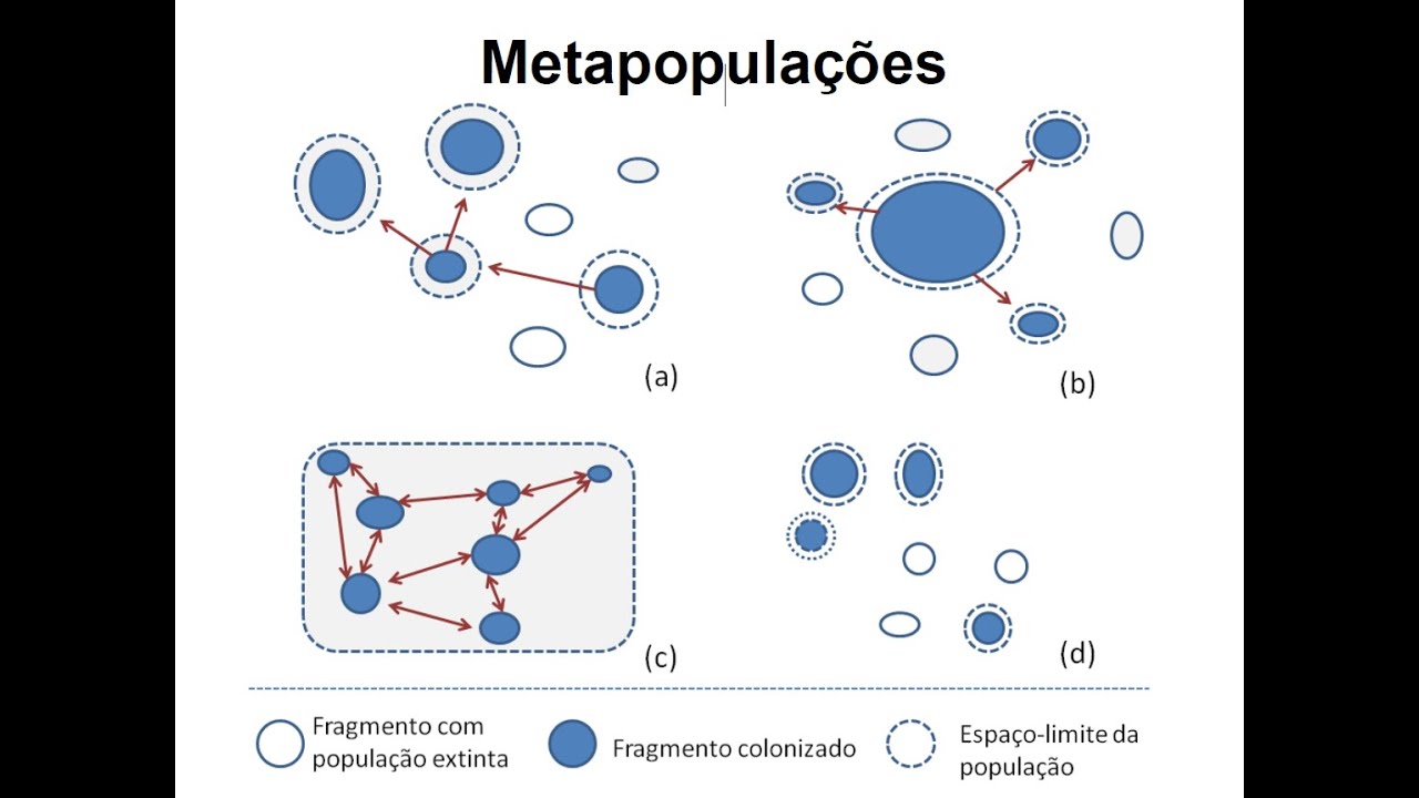 Introdução a Metapopulações (1/4) (aula assíncrona)