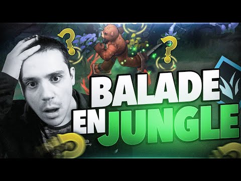 COACHING IRON III - UDYR EN PROMENADE !