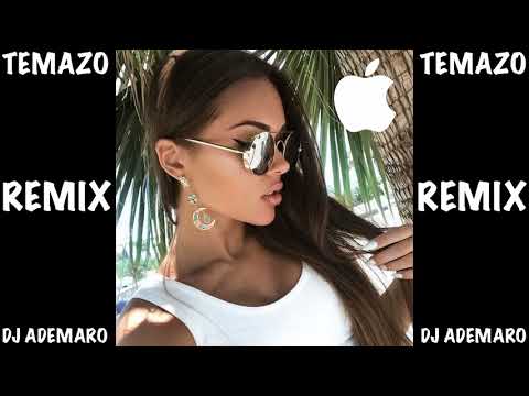 TEMAZO 2017 - FIESTA PAL MUNDO ✖ DJ ADEMARO