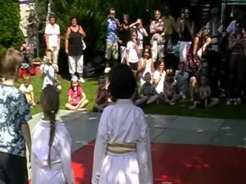 Sportfreunde Harteck Sommerfest 27.07.2008 (Ju-Jutsu 01)