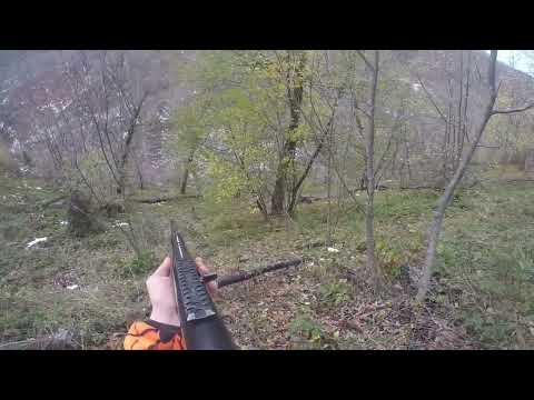 Lov na divlje svinje 2025