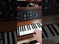 This Minimoog Feels Better!