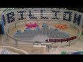 8,000 Dominoes - Disney Motion (1,000,000,000 ...