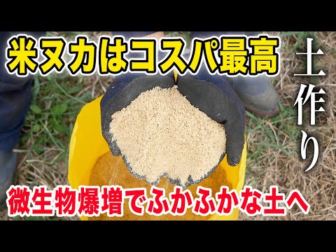 庭に腐植を作る: 最良のヒント