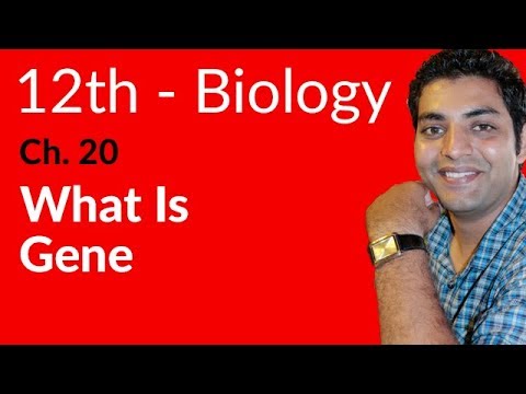 FSc Biology Book 2, What is Gene Biology - Ch 20 Chromosomes and DNA - 12th Class Biology