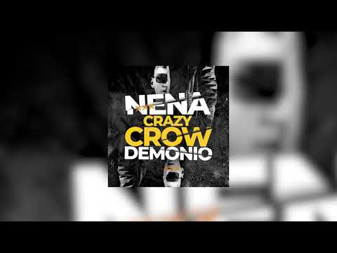 👑 6. CUERVO LOCO / BAJO PRESIÓN 👑