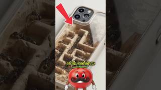 Video thumbnail image
