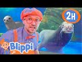 Blippi Visits Aquariums Around The Country 2 HOURS OF BLIPPI TOYS Educational Videos For Kids