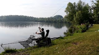 Ссылка