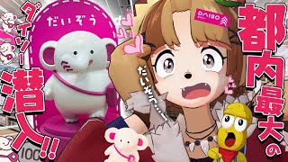 【衝撃】ダイソーに新展開！？デカすぎる店舗に特別に潜入してきました！！