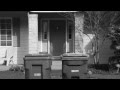 Mr Whiskers 101 Lights Camera ACTION Official Trailer