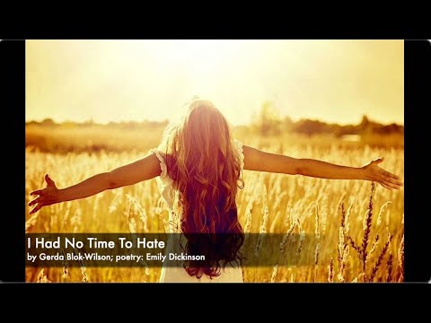 I Had No Time To Hate - by Gerda Blok-Wilson
