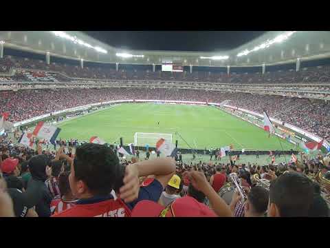 "NUEVO TEMA 2020/Siguiendo la luna - Amor de Hincha" Barra: La Irreverente &bull; Club: Chivas Guadalajara