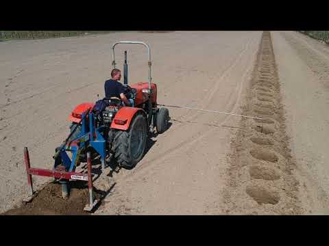 [sadownictwo] Sadzenie drzew jabłoni / Planting apple trees