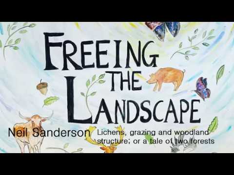 Knepp "Freeing the Landscape": Vera Talks - Neil Sanderson