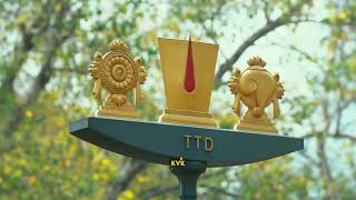 Tirupati  sri venkateswara swamy  4k WhatsApp stat