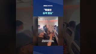 기내 '안내 방송'‥특별한 승객 탑승 #Shorts (MBC뉴스)
