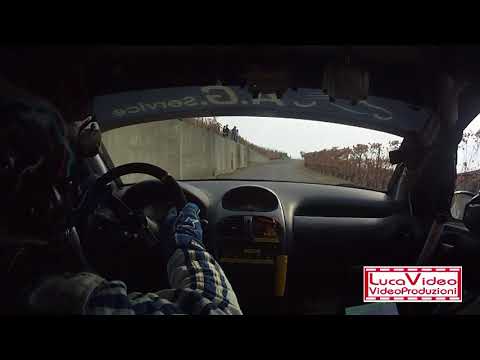 Cameracar Rally del Piemonte 2017 Montanaro-Colla 206 A7 - PS3