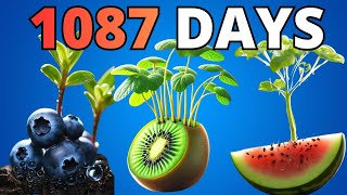 1087 Days in Just 30 Minutes - Growing Plant Time Lapse COMPILATION