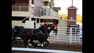 Gomez- See the World