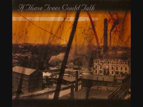 If These Trees Could Talk - Malabar Front