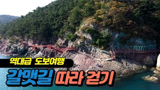历代级徒步旅行, 海鸥路跟着走의 이미지