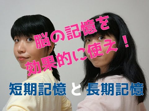 古代のウイルスは私たちの長期記憶を助ける