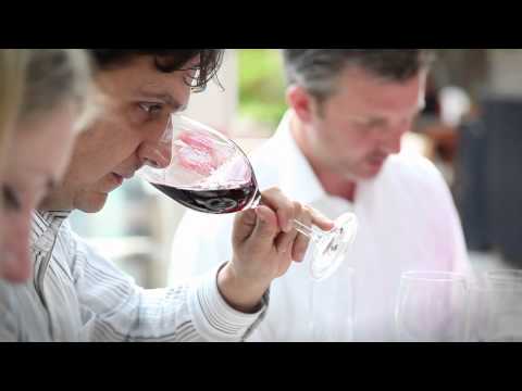 Cono Sur's guide to pairing wines with the flavours of winter