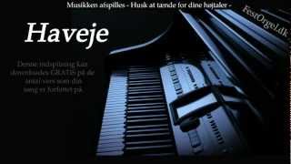 Haveje - Kim Larsen
