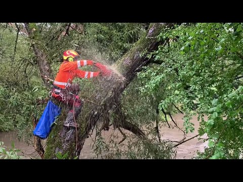 Drohende Gefahr an der Schussen