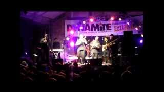 Dr. Ring-Ding Ska-vaganza - The Needle (live)