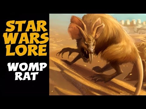The Womp Rat, native to Tatooine and a Pest | Star Wars Animals