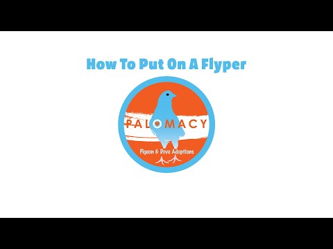 How To Put On A Flyper