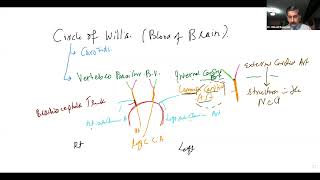GMT20240515 130455 Recording 1920x1080 AP Circle of Willlis + Upper Limb Circulation