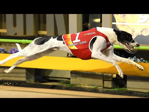 Speed Star VII | 595 | Tornado Tears