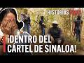 Dentro Del Imperio De La Droga Mexicano El Cártel De Sinaloa Historias Vivas Documental HD
