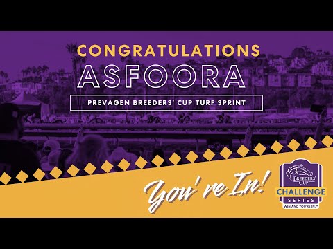 2025 Coolmore Wootton Bassett Nunthorpe Stakes - Asfoora