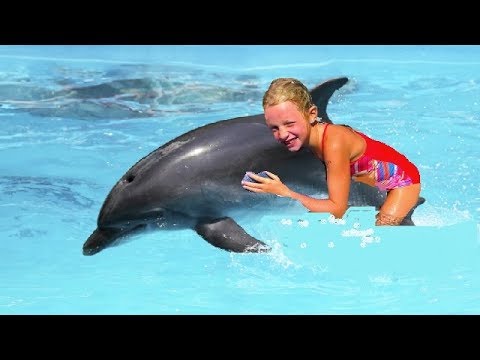 download lagu mp3 mp4 Nager Avec Les Dauphins, download lagu Nager Avec Les Dauphins gratis, unduh video klip Nager Avec Les Dauphins