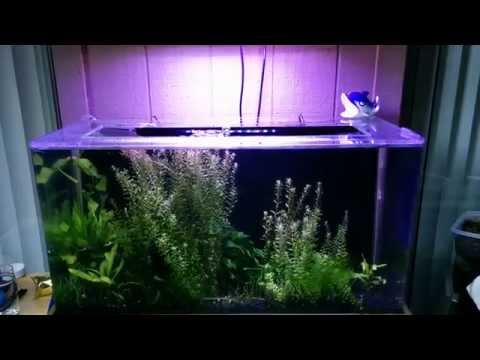 Seaclear System Ii Update 10