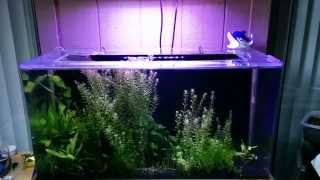 SeaClear System II update 10