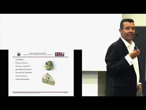 SCHIMMEL IN BAUWERKEN NUTZERVERHALTEN ODER BAUTECHNISCHES PROBLEM?