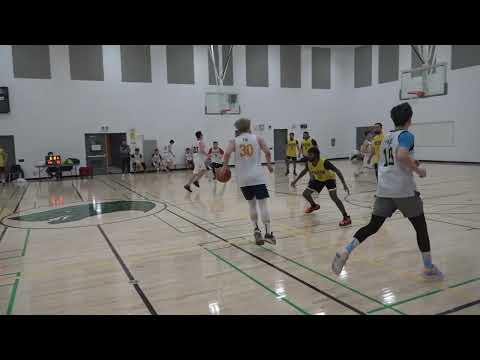 Forbidden vs Malvern - sunday tier SEMI FINALS - tcbl 2022 fall