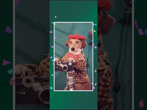 Video cover